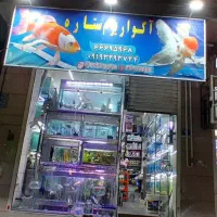 آکواریوم ستاره ماهی لوازم و خدمات کامل