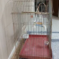 قفس پرنده