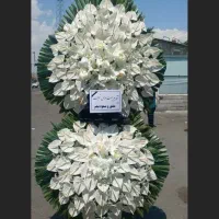 تاج گل های تسلیتی مدل آنتریوم سفید (ختمی ، شادی)