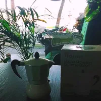 موکاپات