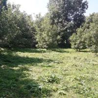 زمین سند تک برگی مسکونی ییلاقی