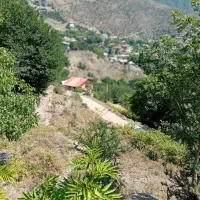 فروش زمین ییلاق سوادکوه تهاتر ونقد