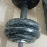 دمبل آهنی و شنا سوئدی