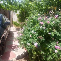خانه باغچه ویلا  مزرعه نو|فروش خانه و ویلا|تهران, فردوسی|دیوار
