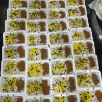 سفارش غذا برای محرم