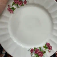 ظروف چینی