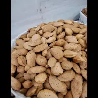 بادام درختی درجه یک