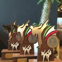 تندیس رشته رزمی