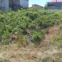 فروش زمین بر خیابان انصاری ۲۳۰ متر