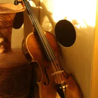 ویولن های فونیکس (پایین ترین قیمت بازار)