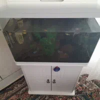 آکواریوم شیشه خم