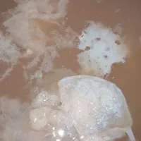 سرکه کاملا ارگانیک سیب