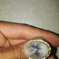 انگشتر شجر