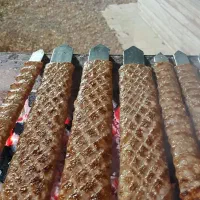 تهیه غذا و بیرون بری کبابستان با پیک رایگان