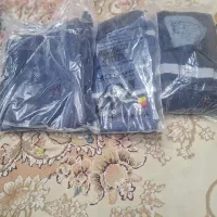 لباس کار لی و کفش ایمنی مدل ایمن پا