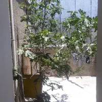 فروش-منزل-مسکونی