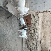 ۱۲۰۰۰۰۰۰۰۰