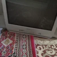 تلویزیون