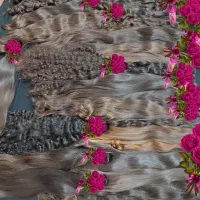 موهای بلند بانوان بدون واسطه اریشگاه