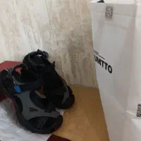 هامتو نو نو