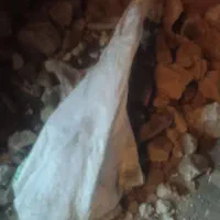 نوخاله رایگان