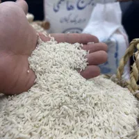 برنج|حراج|تهران, دولت‌آباد|دیوار