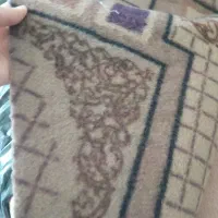 موکت