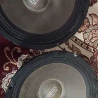 یک چفت میدرنج سایز ۱۰ اینچ