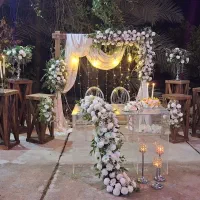 تزیین جایگاه نامزدی،ماشین عروس،حنا،دسته گل