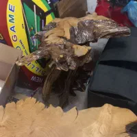 میزعسلی همراه جلو مبلی ریشه درخت طبیعی