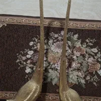دو عدد قو