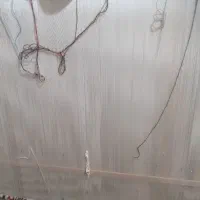 فرش قالیچه