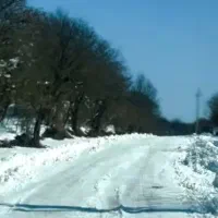 زمین باغی در زرنق