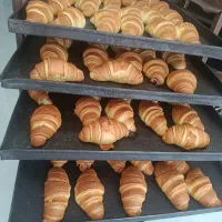 یک نفر خانم برای فروشندگی نیازمندیم