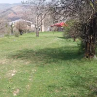 فروش زمین مسکونی روستای کوا شهرستان بهشهر