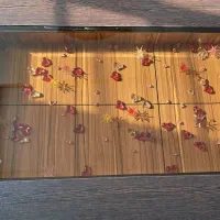 میز جلومبلی