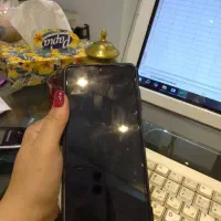 ارائه خدمات بیمه، مالیات، اظهارنامه و حسابرسی،مالی