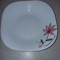 ۲عدد دیس ۶عدد خورشت خوری و قاشق