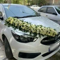 ماشین عروس (( شاهین))
