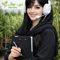 فروش نهال شلیل ردگلد گلابی گیلاس تکدانه گردو بادام