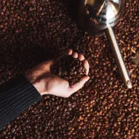 فروش انواع قهوه عمده و خرده