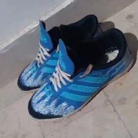 کفش نو نو