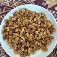 توت خشک امسالی شیرین و تمیز