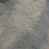 زمین دربیلوردی