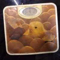 ترازو تناسب اندام