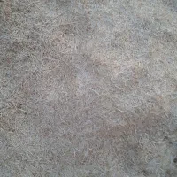سلام دوازه باک کاه گندم کمپاین