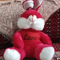 عروسک|اسباب‌‌بازی|کرمانشاه, |دیوار