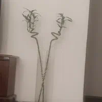 گل بامبو