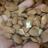 مغز بادام و آلوچه کشکه قمصر
