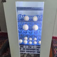 دستگاه جوجه کشی و پرنده گان زینتی